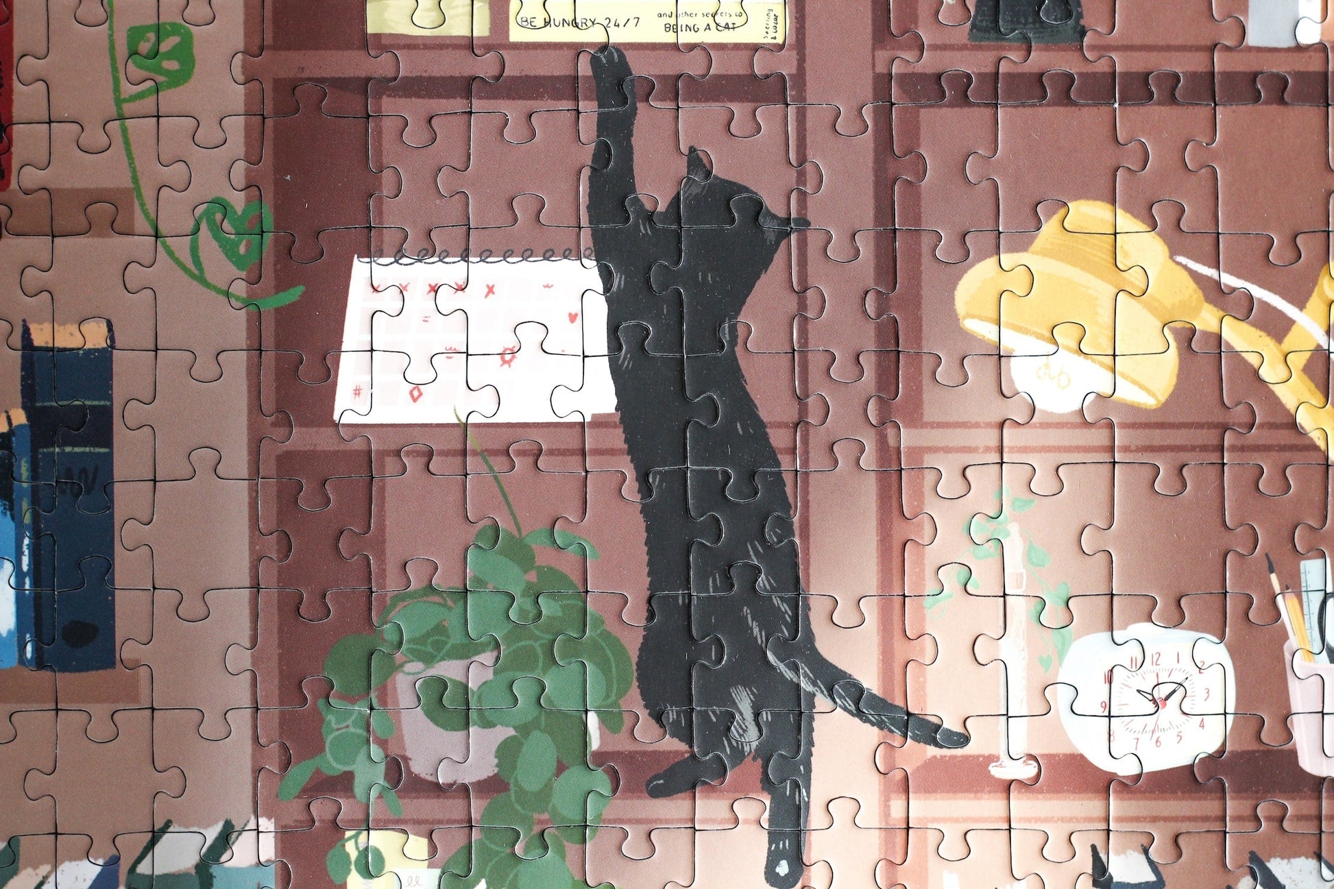 Nachhaltiges 1000-Teile-Puzzle, das eine Frau mit einem Stapel Bücher in der Hand zeigt. Im Hintergrund ist ein prall gefülltes Bücherregal und zwei süße Katzen.